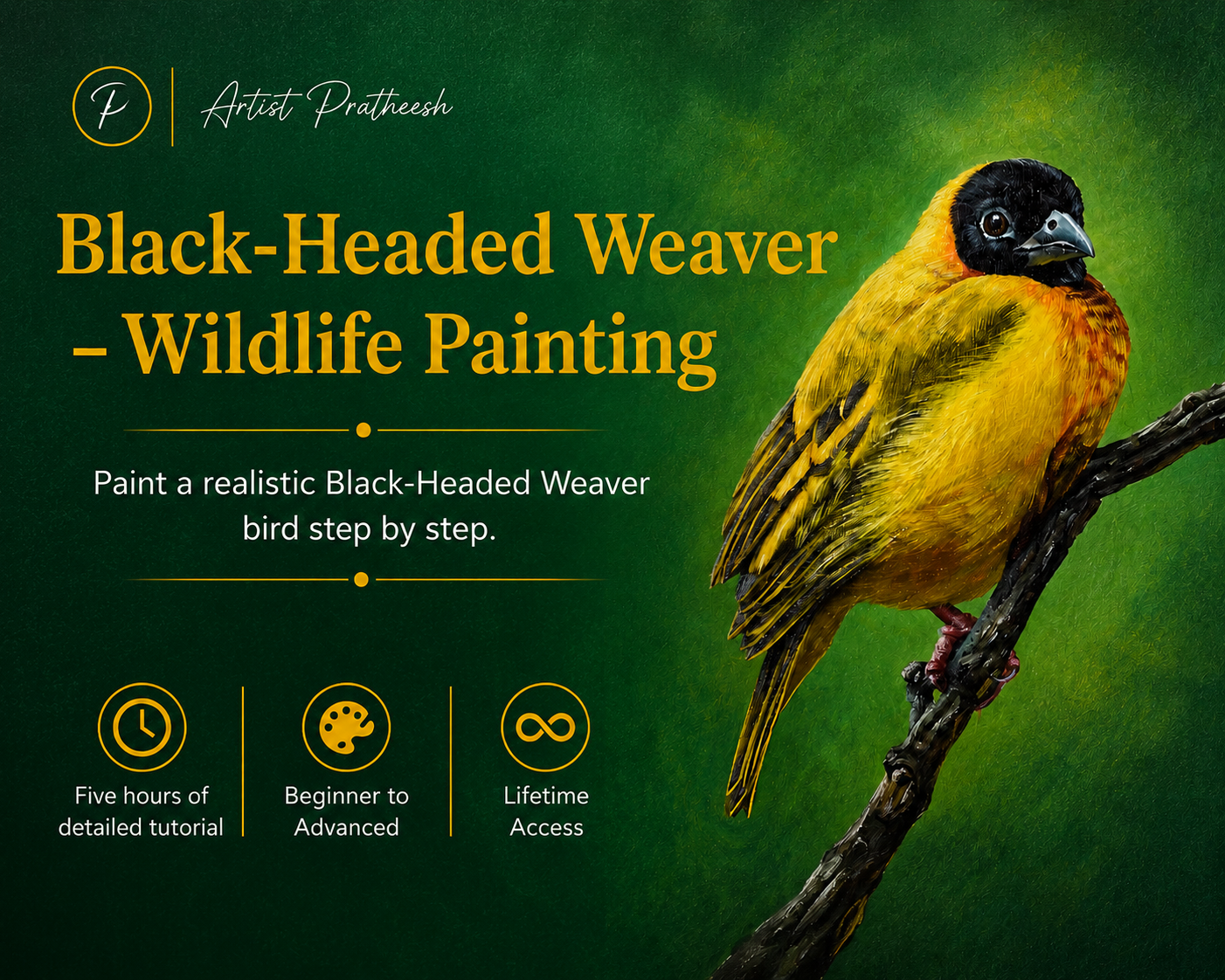 Black Headed Weaver course cover